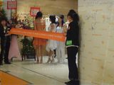 DSC00084.JPG